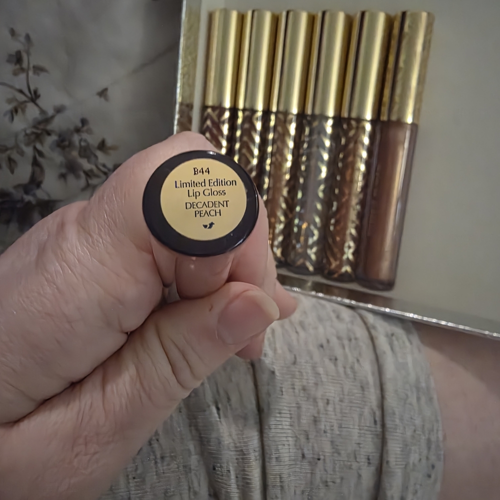Estee Lauder Lip Gloss Set - Picture 3 of 9
